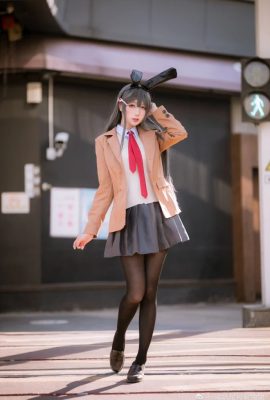 青春豬頭少年不會夢到兔女郎學姐櫻島麻衣@-週嘰是可愛兔兔- (9 photos)