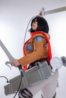 Uyuy – Mikasa
