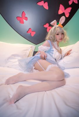 [王胖胖u] Alice the maid