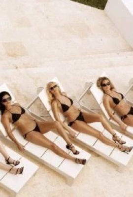 Hot bikini girls strip off and fuck each other (18 Photos)