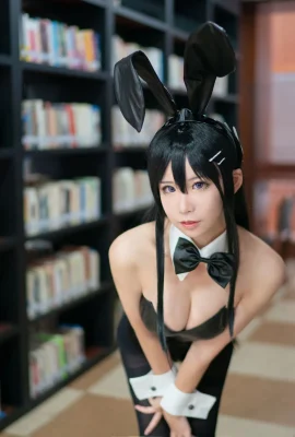 動漫博主愛老師_PhD – 兔女郎學姐 (8 photos)